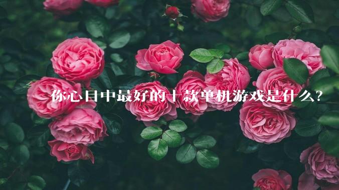 你心目中最好的十款单机游戏是什么？