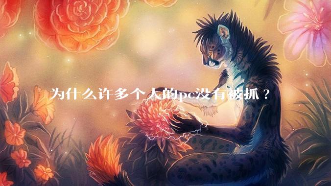 为什么许多个人的pc没有被抓?
