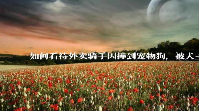 如何看待外卖骑手因撞到宠物狗，被犬主打？