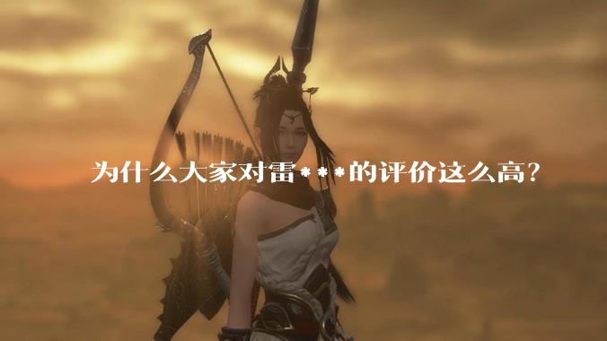 为什么大家对雷***的评价这么高？